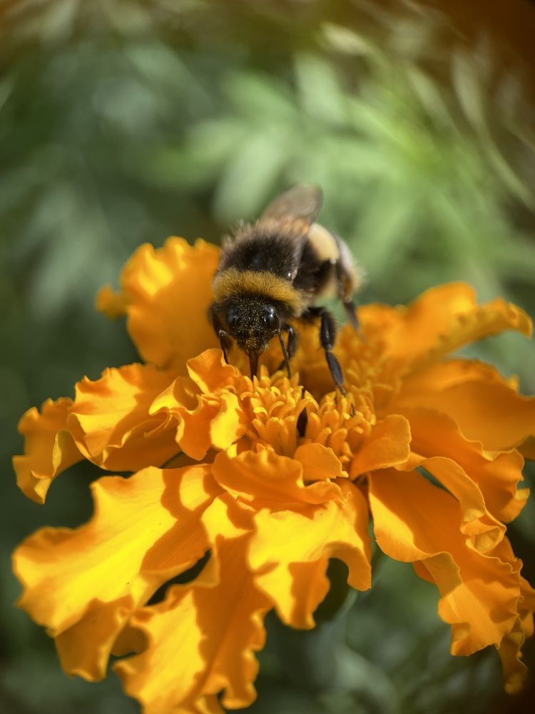 Photograph by Ольга Дорошенко