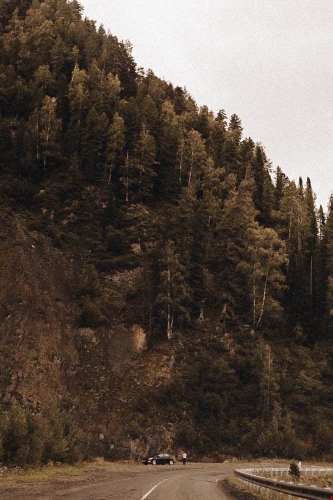 Photograph by Nadezhda Potapova