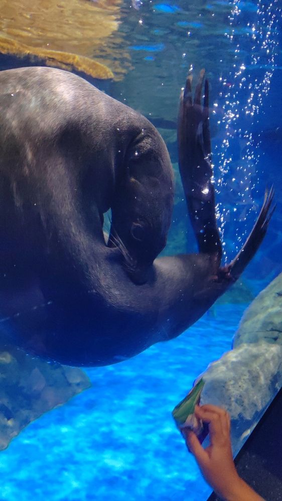 Photograph by Николай Шепелев