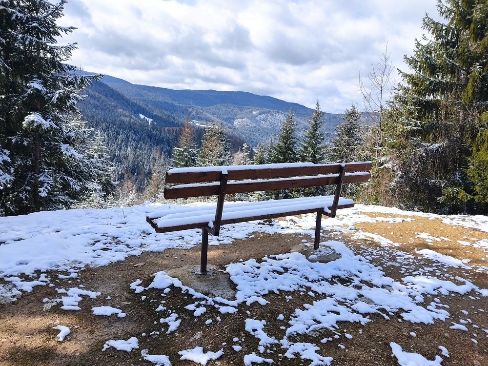 Фотография автора Danica Utjesinovic