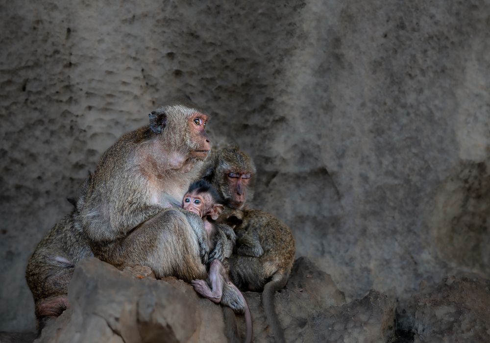 Photograph by Николай Фонарёв