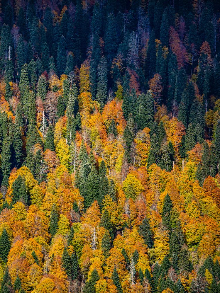 Фотография автора Вазген Бояджян