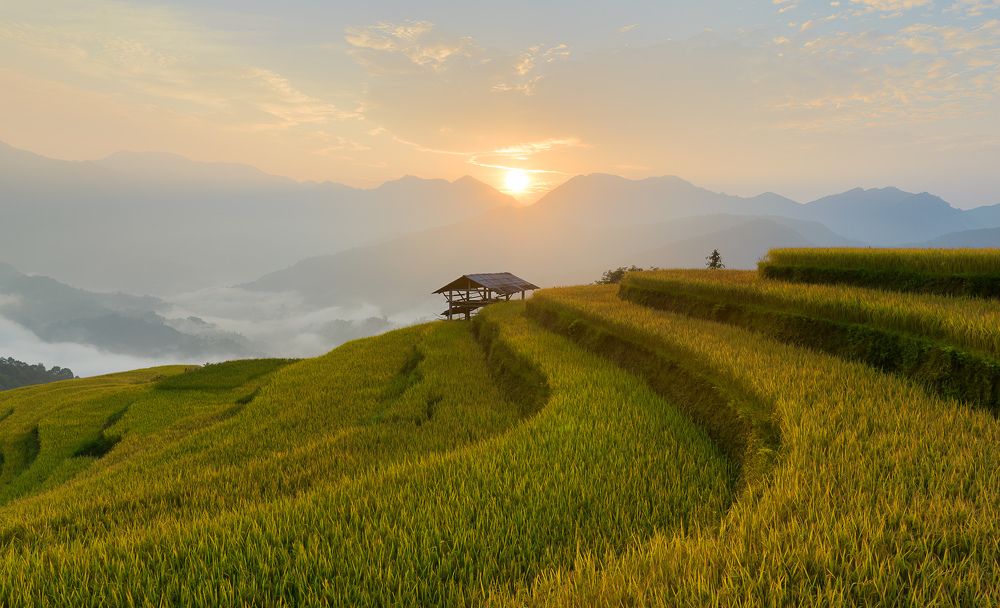 Photograph by MINH LONG