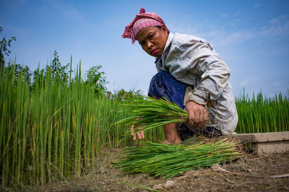 Фотография автора Dipayan Debbarma