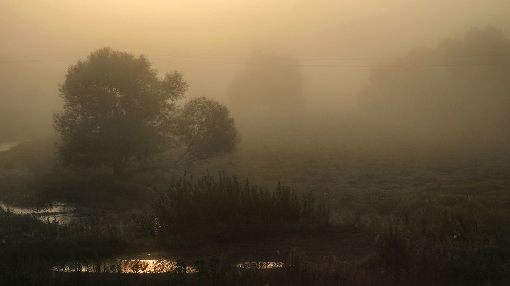 Шёлк утреннего тумана
