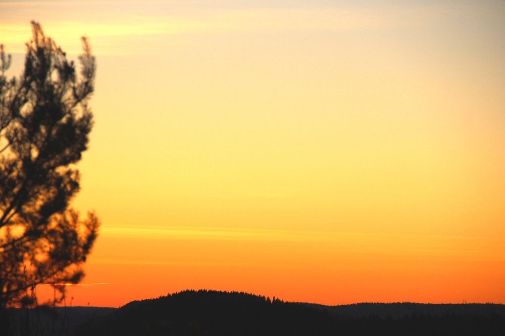 Photograph by Виктория Зотова