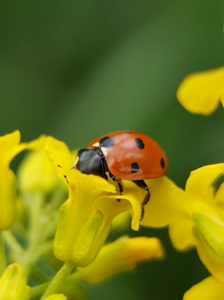 Photograph by Данила Черезов
