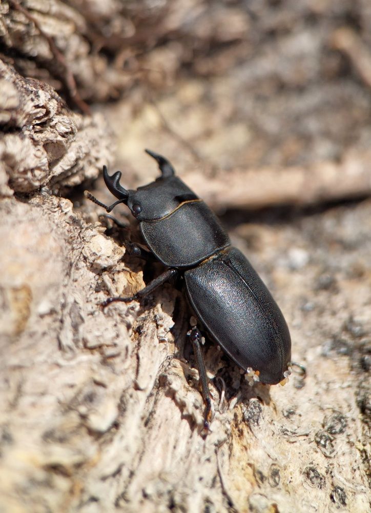 Photograph by Данила Черезов