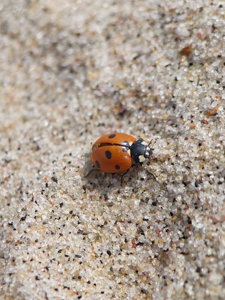 Photograph by Данила Черезов