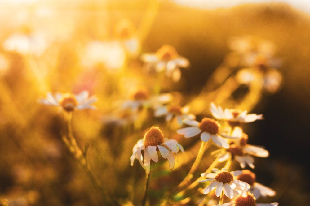 Photograph by Сергей Федоров