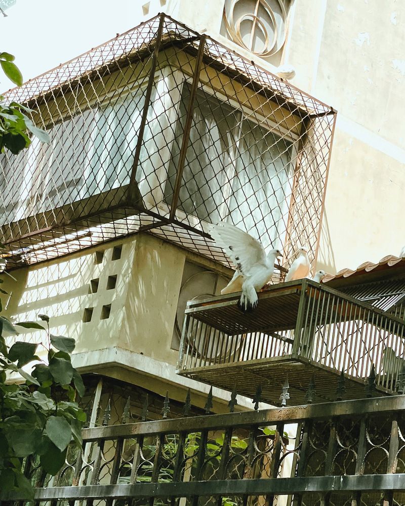 Photograph by Ольга Гончарова