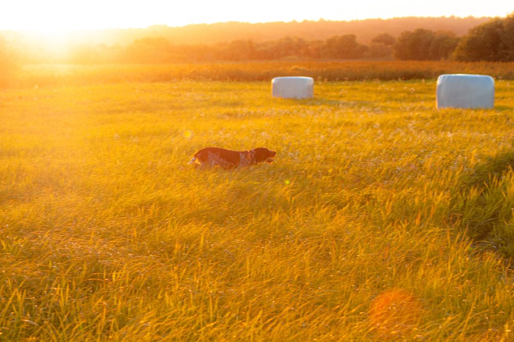 Photograph by Никита Павлов