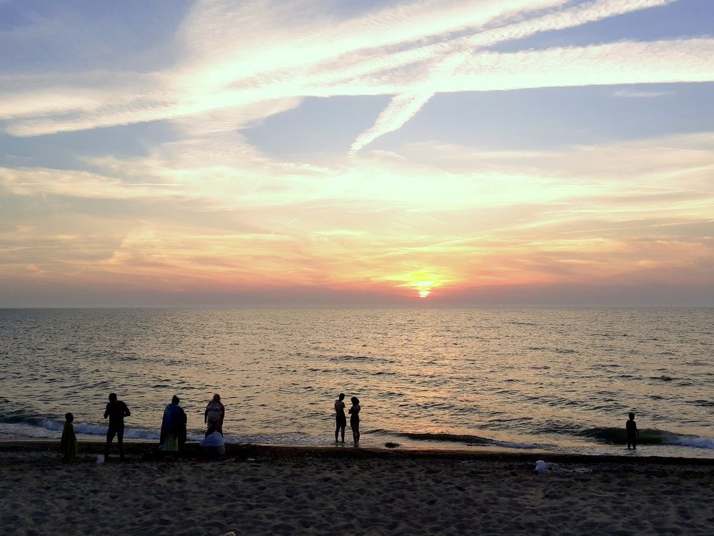 Photo #9434598