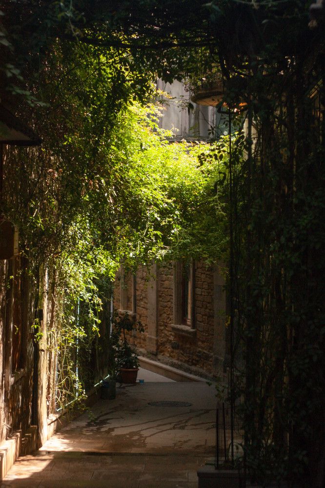 Photograph by Сергей Федоров