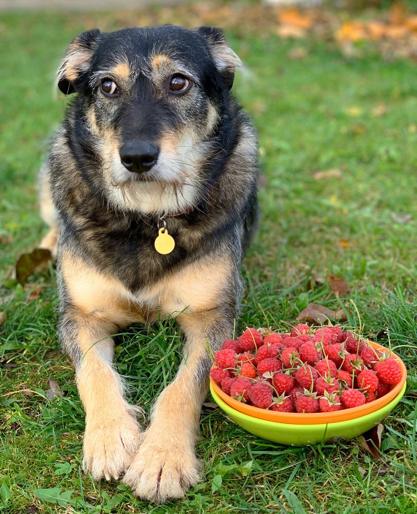 Глаша: « Господи! Ты не совсем правильно меня понял! «Жизнь - Малина» выглядит немного иначе ......»