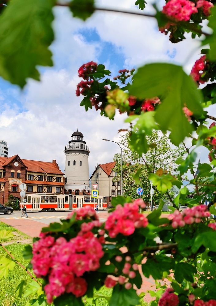 Photograph by Елизавета Лай