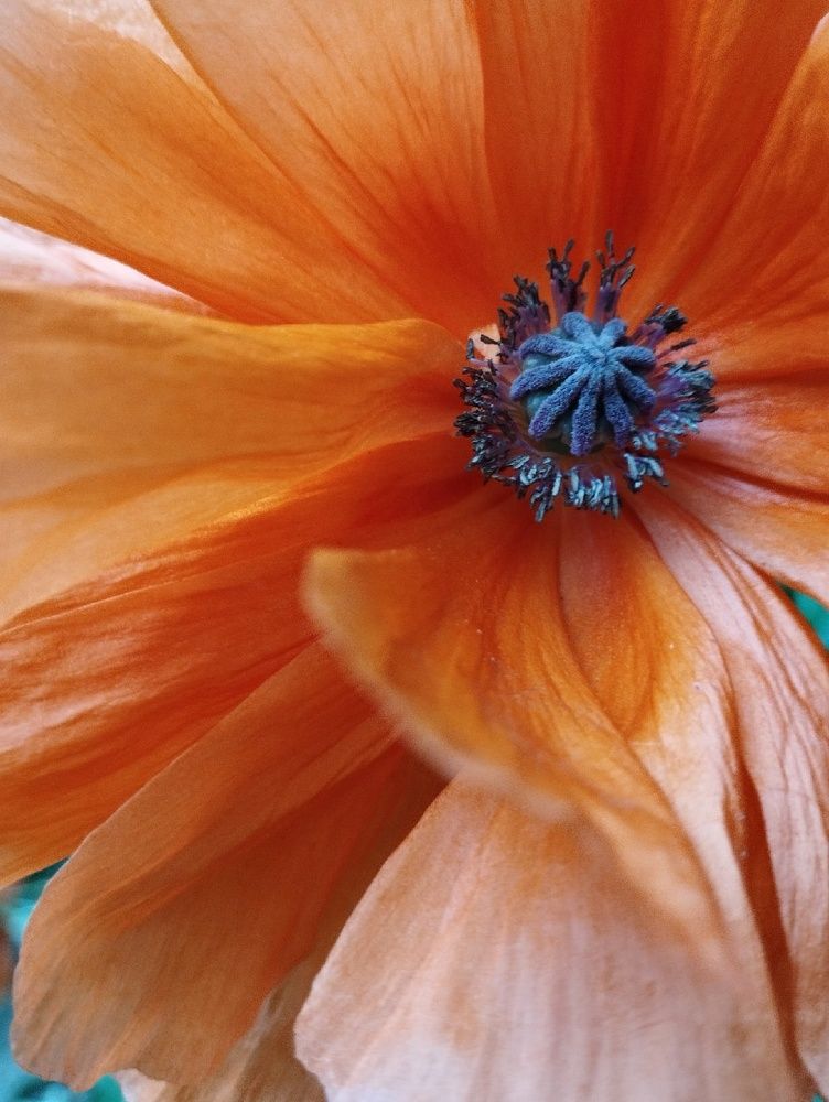 Photograph by Наталья Шёлкова