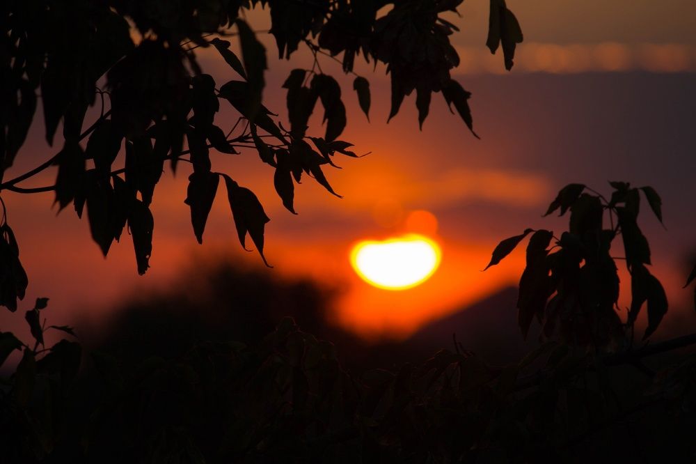 Photograph by Наталья Шёлкова