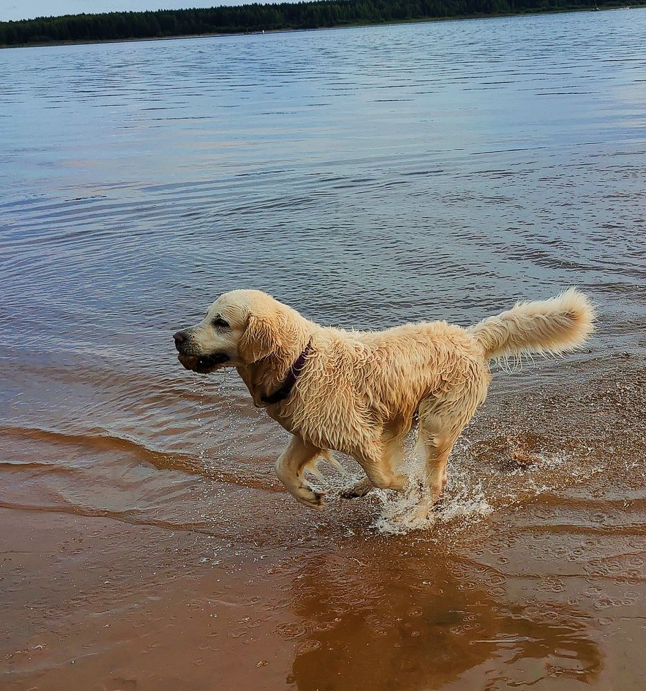Фотография автора Светлана Смирнова
