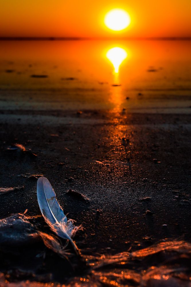 Photograph by Chic.chiquitita