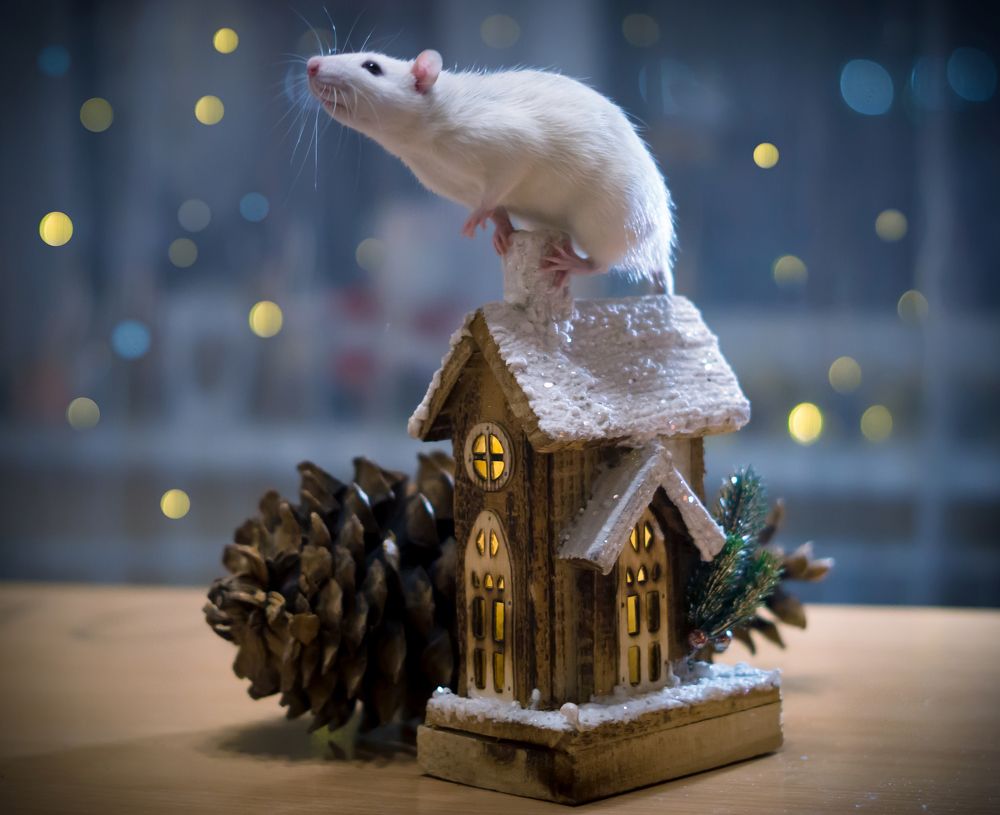 Photograph by Елена Давыдова