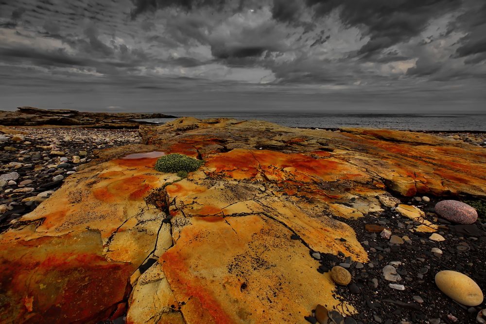 Photograph by Олег Раков