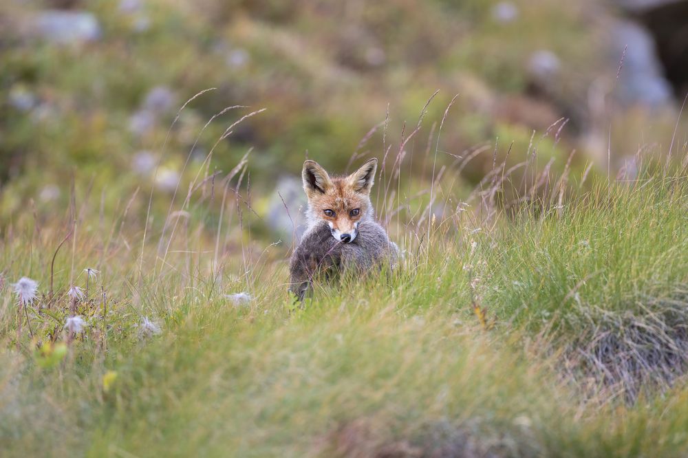 Photograph by Marco Rondi