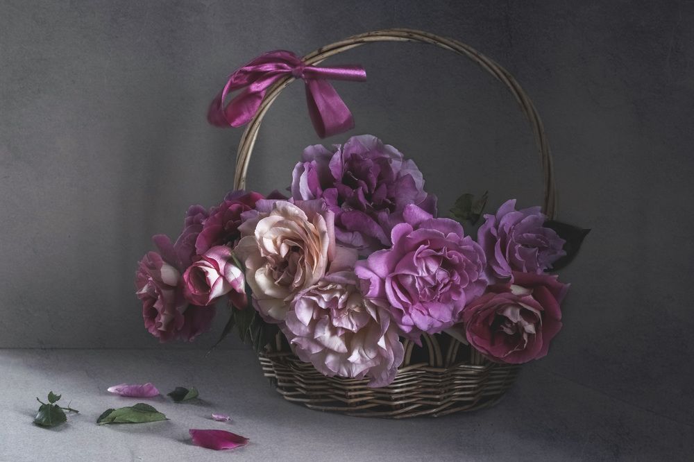 Photograph by Inna Gritsik