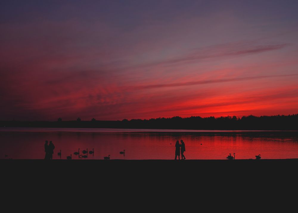 Фотография автора Алексей