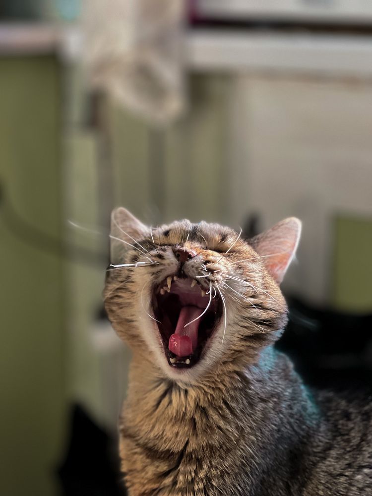 Photograph by Алёна Стародубцева