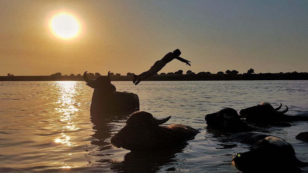 Photograph by ashtin فرید آشتین