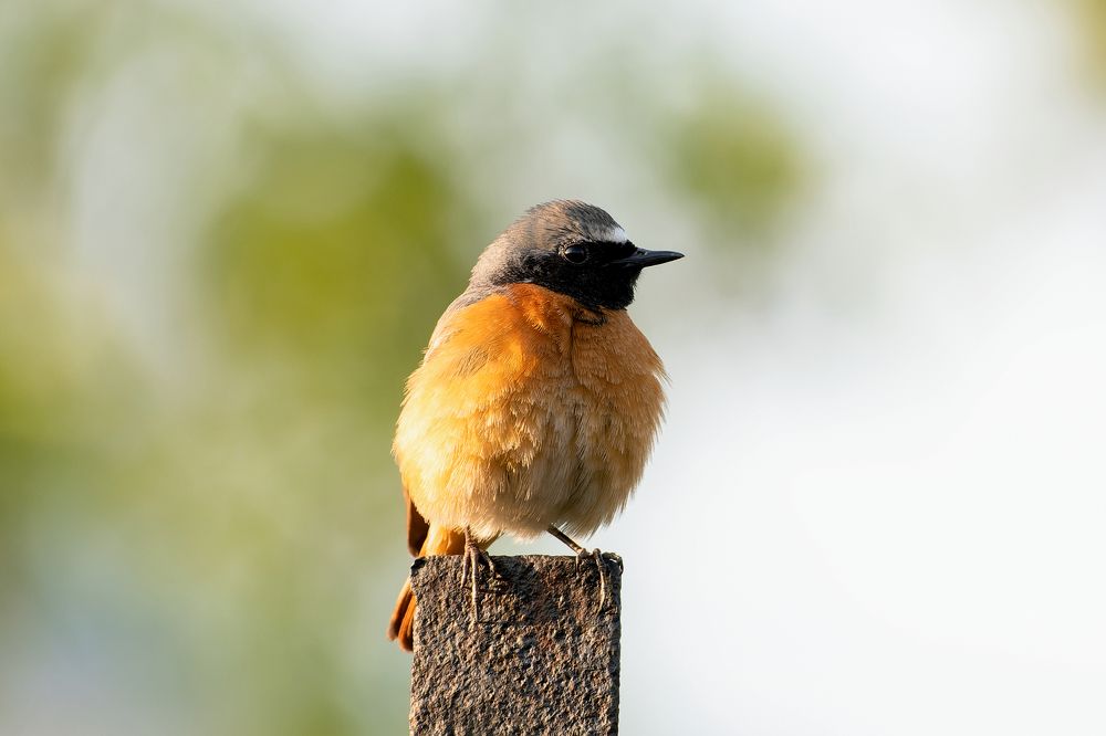 Photograph by Александр Перегудов