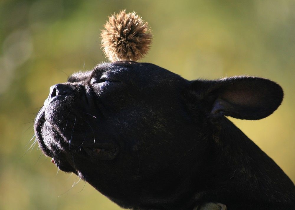 Фотография автора Татьяна Шебаршенко