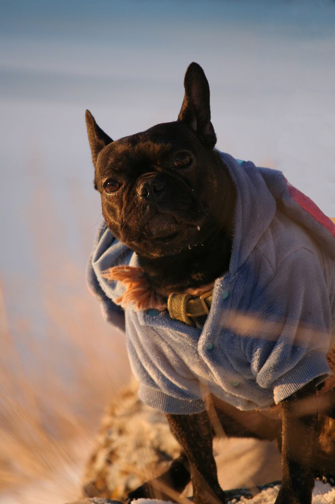 Фотография автора Татьяна Шебаршенко