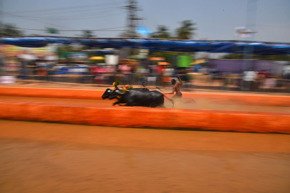 Photograph by Sushrut SK