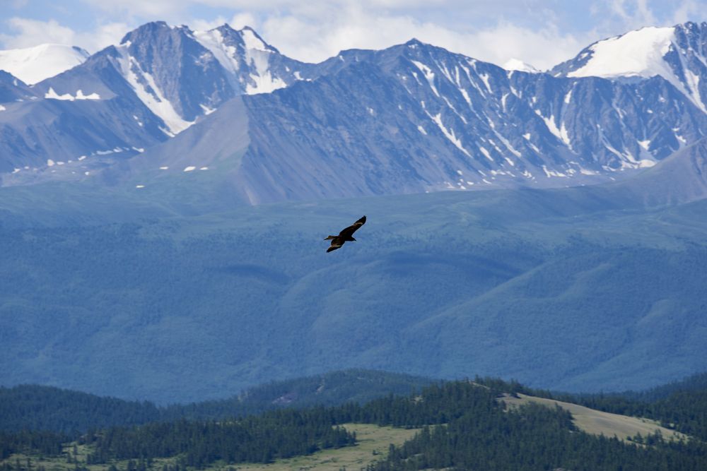 Photograph by Михаил Рогачев