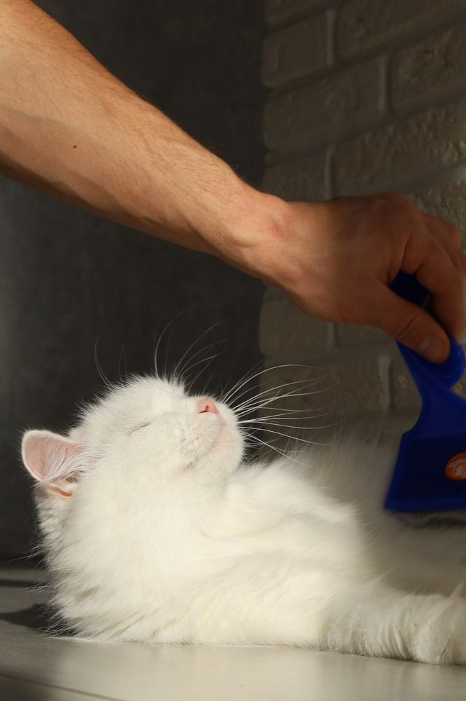 Photograph by Nadezhda Potapova