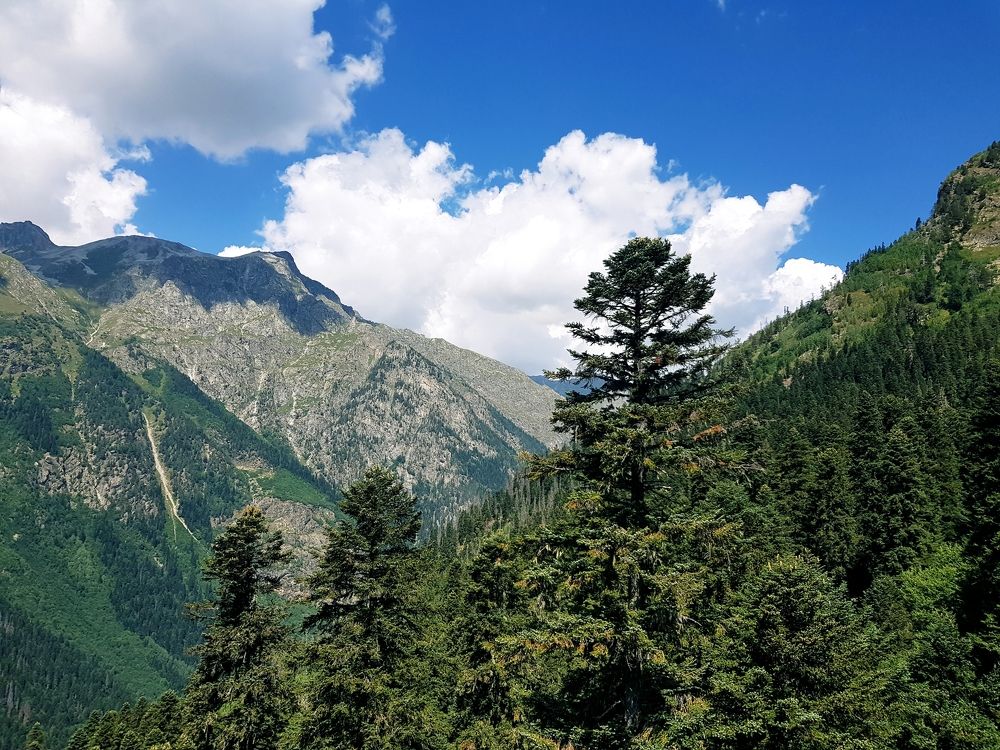 Photograph by Рафаил Манафов