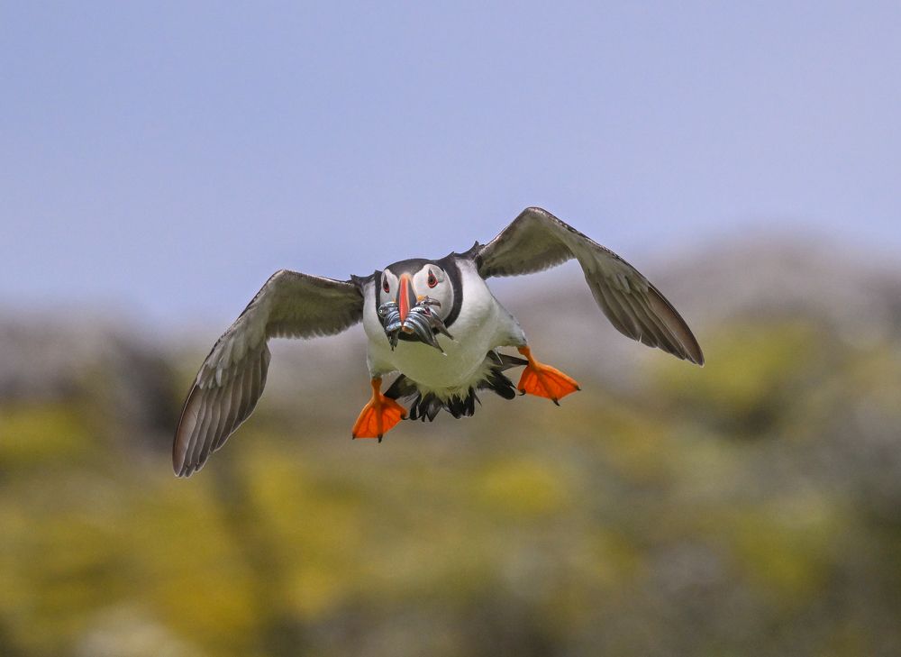 Photograph by NUR AZIMAH THERESA ABDULLAH