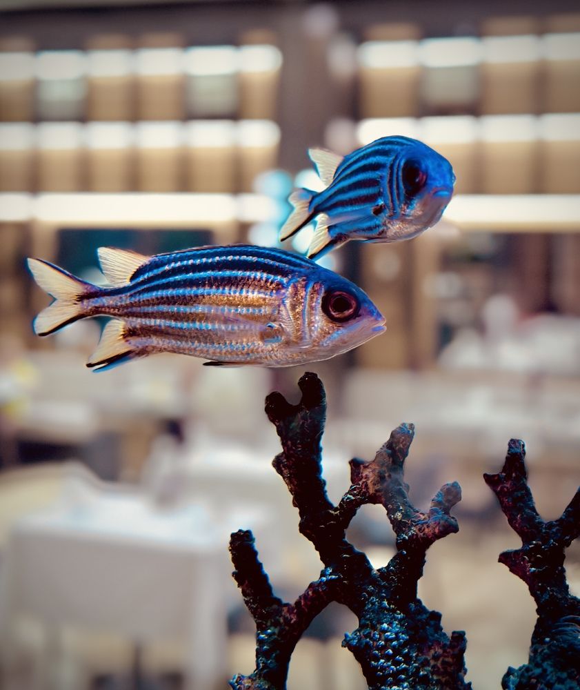 Photograph by Ольга Рачилова