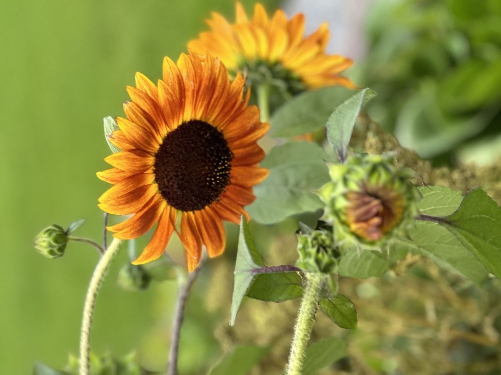 Photograph by Ольга Рачилова