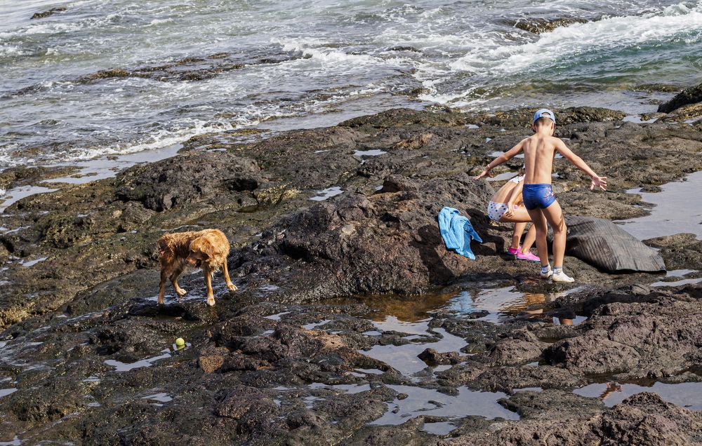 Photograph by Montserrat Alviani