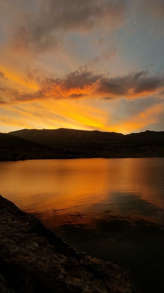 Photo #9435175