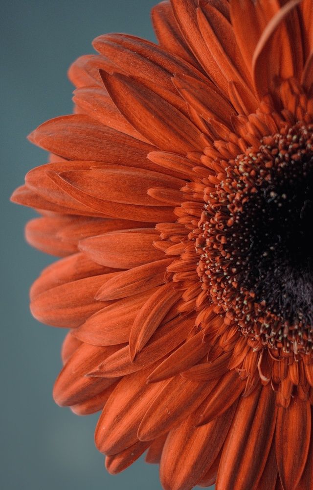 Photograph by Ирина Дерда