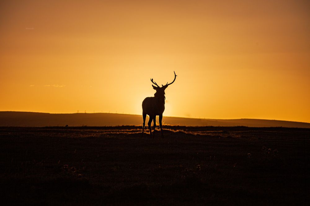 Photograph by Максим Максимов