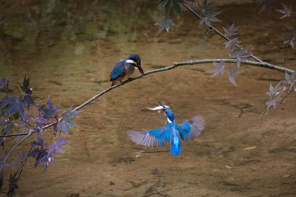 Photograph by Thaw Zin Oo