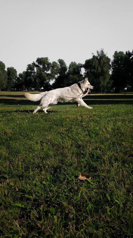 Photograph by Валерія Гончарова-Горобченко