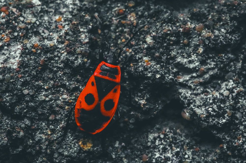 Photograph by Евгения Сенченко