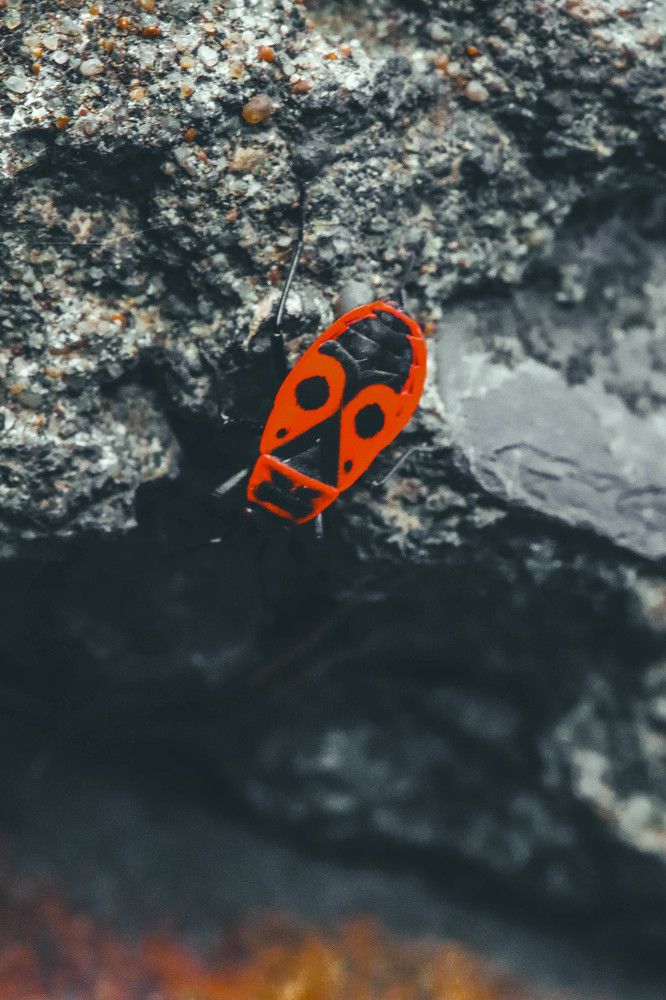 Photograph by Евгения Сенченко