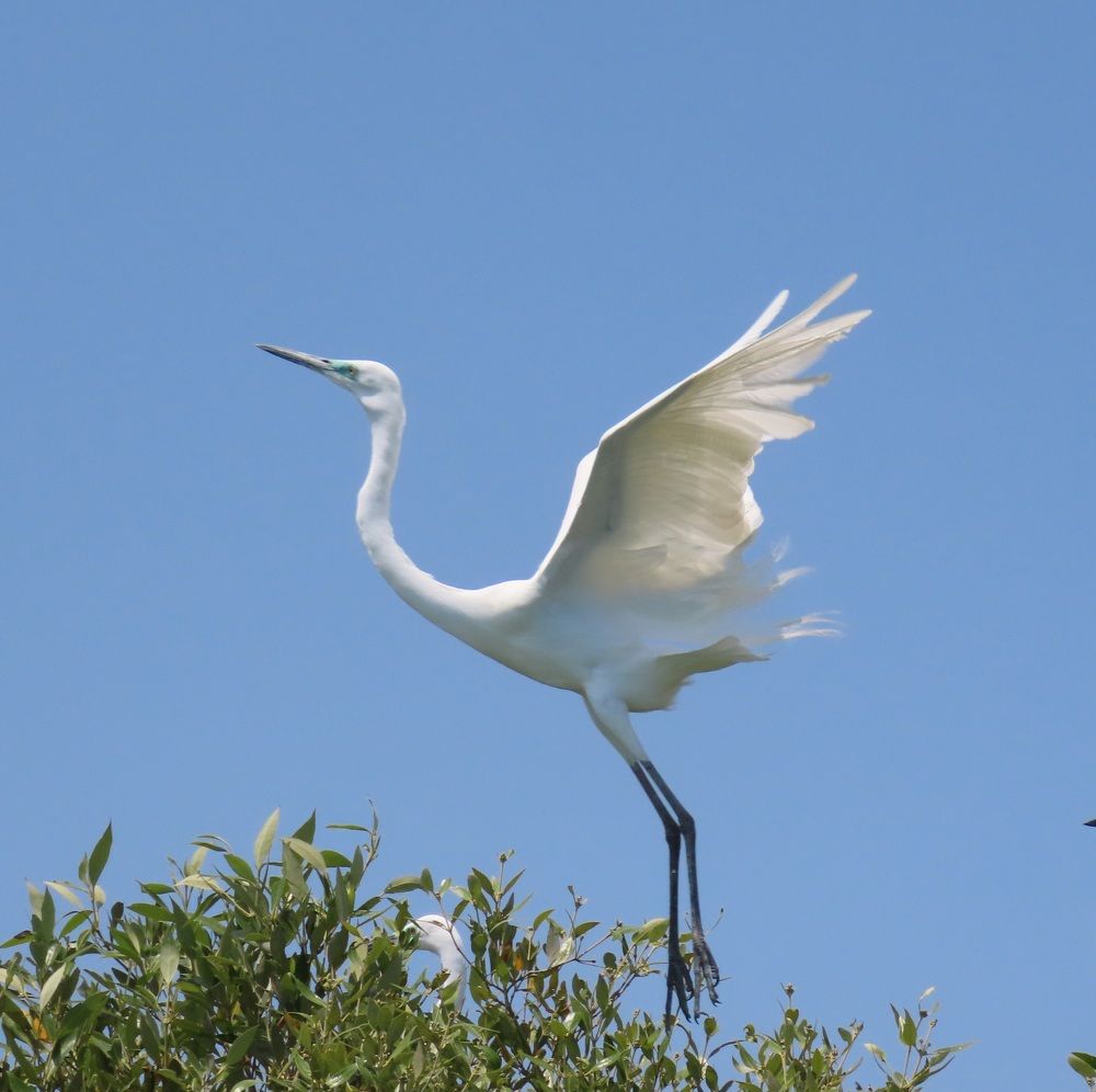 Photograph by mahboube moradalizade